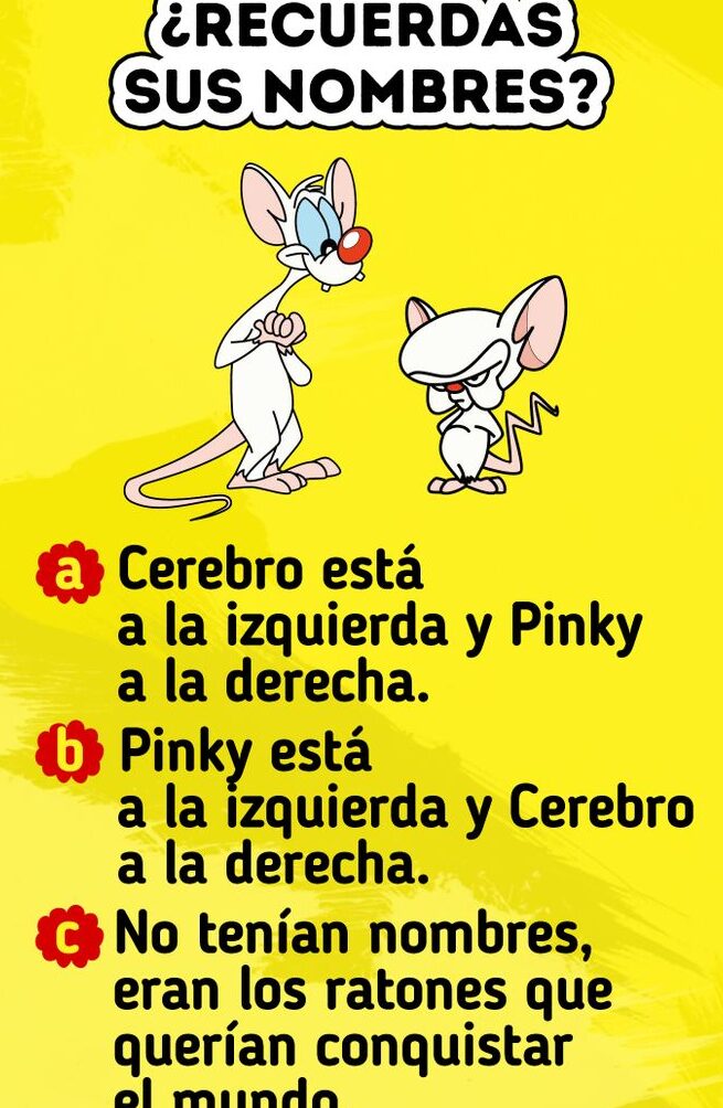Contrabando – Pon A Prueba Tu Pico De Oro – Juego De Fiesta Para 2 O Más Jugadores, Desde 6 Años, Partidas Rápidas De 15 Minutos